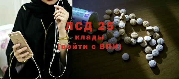 PSILOCYBIN Балабаново