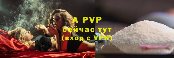 шишки Армянск