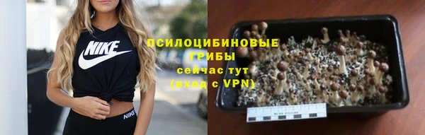 шишки Армянск
