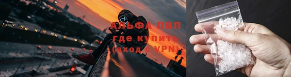 шишки Армянск
