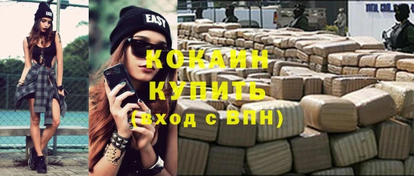 шишки Армянск