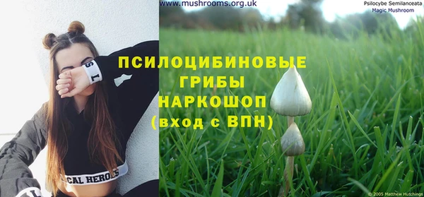 таблы Сатка